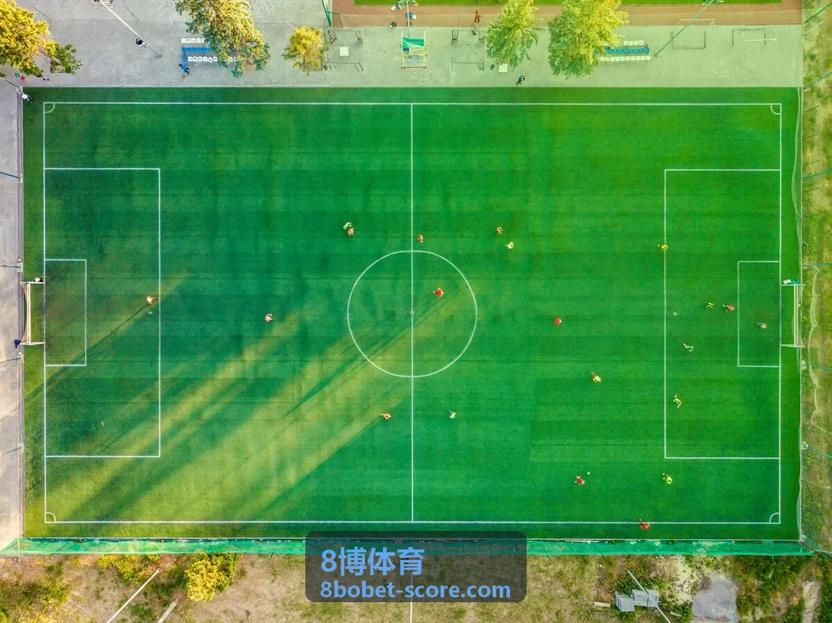 8博体育赛事分析工具